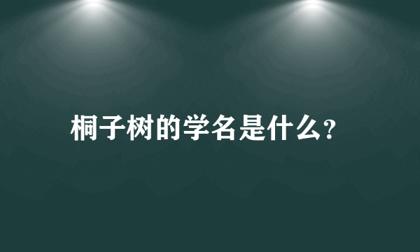 桐子树的学名是什么？