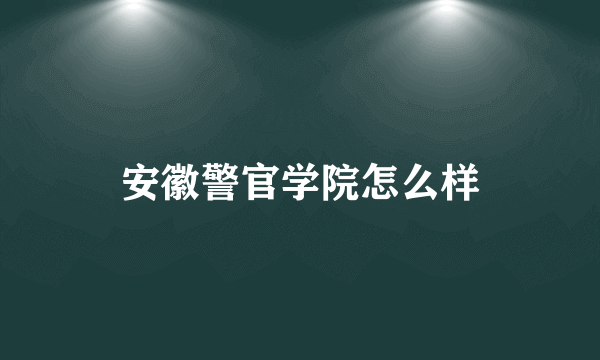 安徽警官学院怎么样