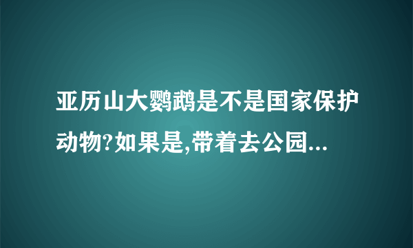 亚历山大鹦鹉是不是国家保护动物?如果是,带着去公园,会不会被人举报?