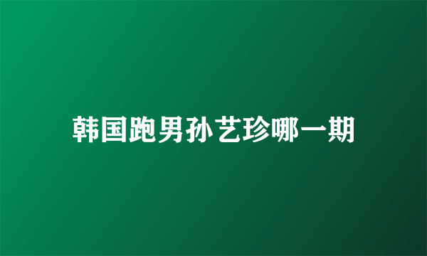 韩国跑男孙艺珍哪一期