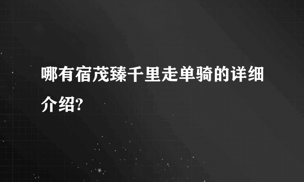 哪有宿茂臻千里走单骑的详细介绍?