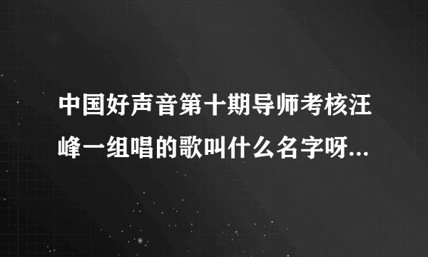 中国好声音第十期导师考核汪峰一组唱的歌叫什么名字呀？很感人的