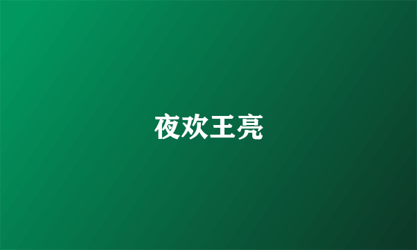 夜欢王亮
