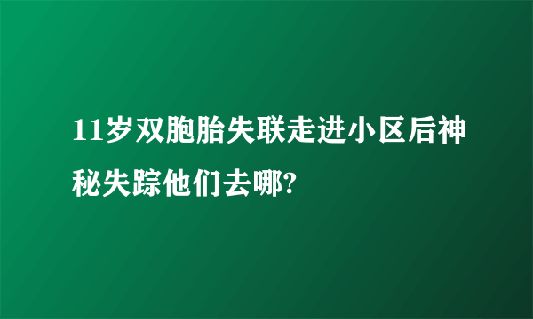 11岁双胞胎失联走进小区后神秘失踪他们去哪?