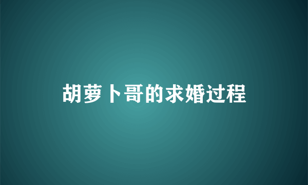 胡萝卜哥的求婚过程