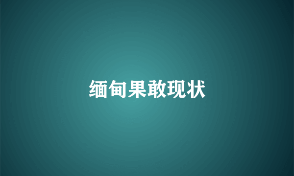 缅甸果敢现状