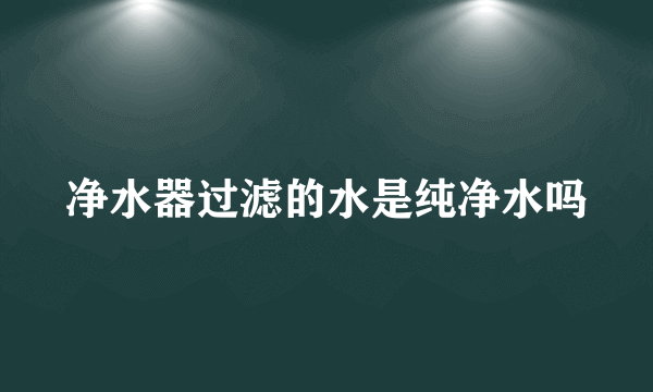 净水器过滤的水是纯净水吗