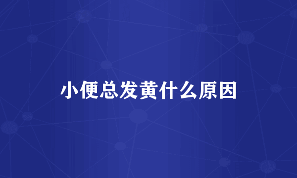 小便总发黄什么原因