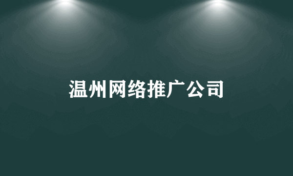 温州网络推广公司
