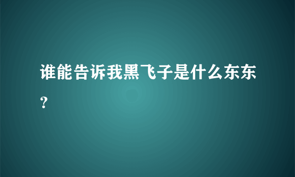 谁能告诉我黑飞子是什么东东？