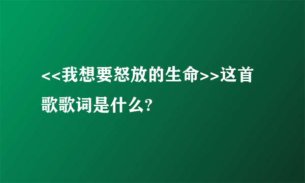 <<我想要怒放的生命>>这首歌歌词是什么?