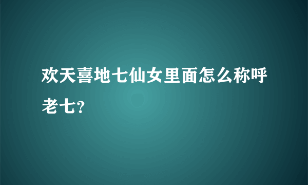 欢天喜地七仙女里面怎么称呼老七？