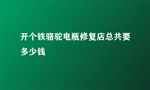 开个铁骆驼电瓶修复店总共要多少钱