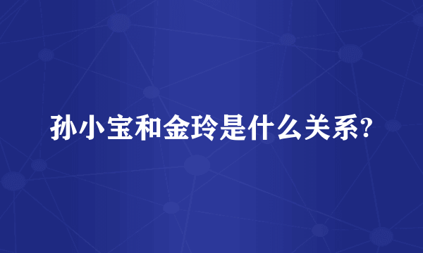 孙小宝和金玲是什么关系?
