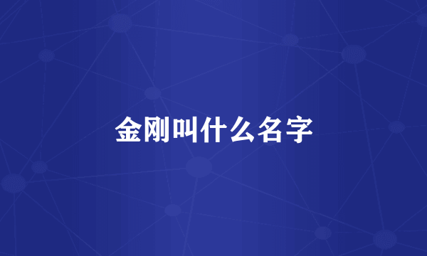 金刚叫什么名字