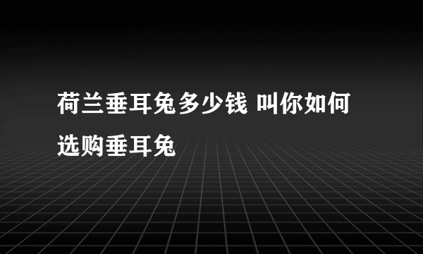 荷兰垂耳兔多少钱 叫你如何选购垂耳兔