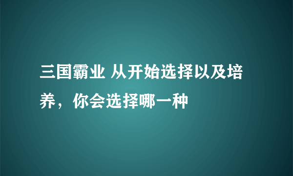 三国霸业 从开始选择以及培养，你会选择哪一种