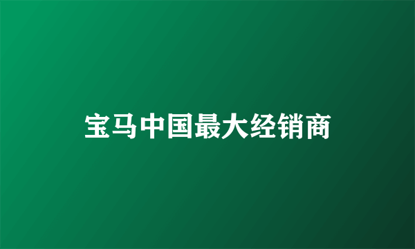 宝马中国最大经销商