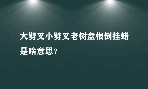 大劈叉小劈叉老树盘根倒挂蜡是啥意思？