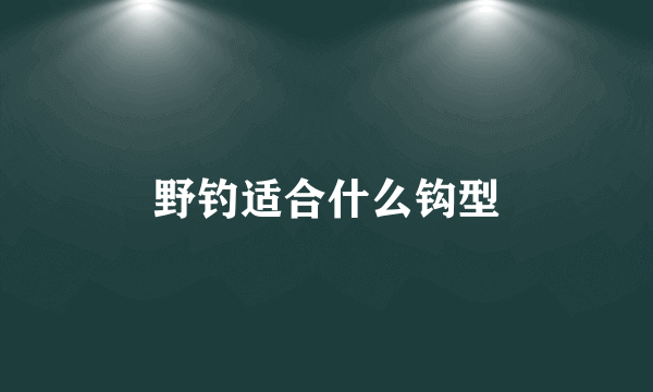 野钓适合什么钩型