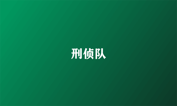刑侦队