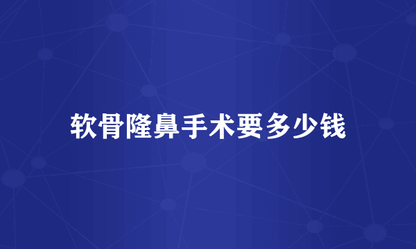 软骨隆鼻手术要多少钱