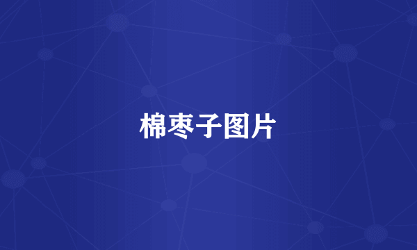 棉枣子图片