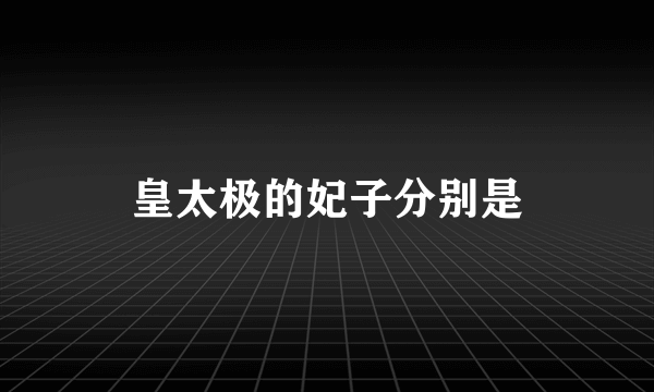 皇太极的妃子分别是