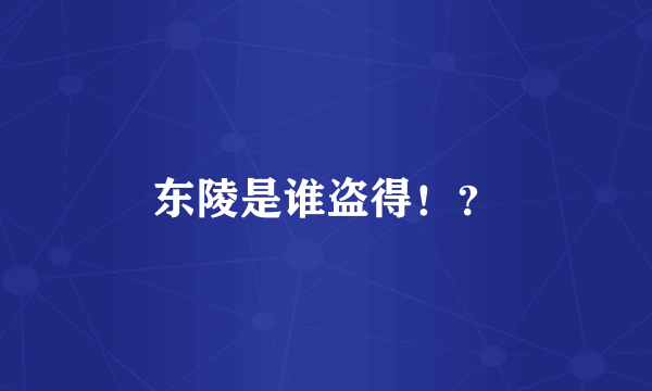 东陵是谁盗得！？