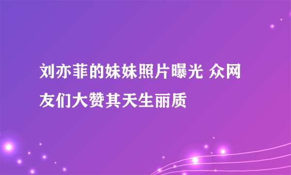 刘亦菲的妹妹照片曝光 众网友们大赞其天生丽质