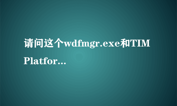 请问这个wdfmgr.exe和TIMPlatform.exe是什么?在进程里出现的.