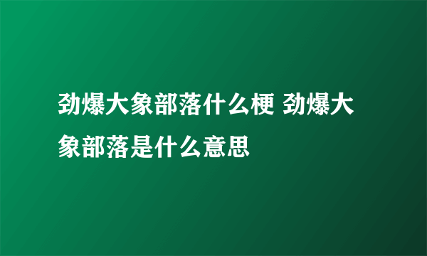 劲爆大象部落什么梗 劲爆大象部落是什么意思