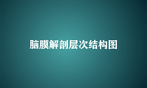 脑膜解剖层次结构图