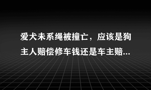 爱犬未系绳被撞亡，应该是狗主人赔偿修车钱还是车主赔偿狗主？