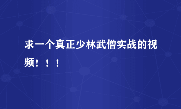 求一个真正少林武僧实战的视频！！！