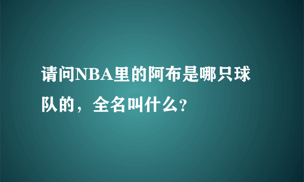 请问NBA里的阿布是哪只球队的，全名叫什么？