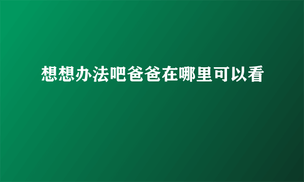 想想办法吧爸爸在哪里可以看