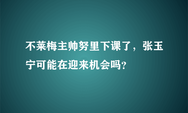 不莱梅主帅努里下课了，张玉宁可能在迎来机会吗？