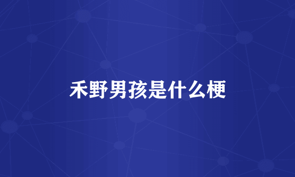 禾野男孩是什么梗