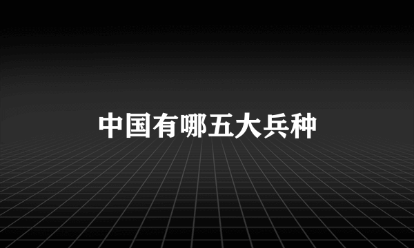 中国有哪五大兵种