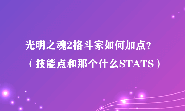 光明之魂2格斗家如何加点？（技能点和那个什么STATS）