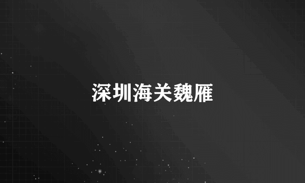 深圳海关魏雁