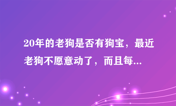 20年的老狗是否有狗宝，最近老狗不愿意动了，而且每天那都需要喝大量的水。吃东西也不多了。
