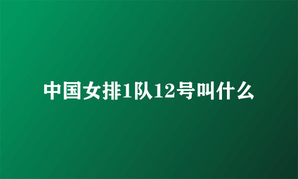 中国女排1队12号叫什么