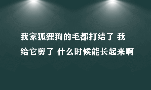 我家狐狸狗的毛都打结了 我给它剪了 什么时候能长起来啊