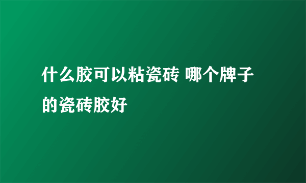 什么胶可以粘瓷砖 哪个牌子的瓷砖胶好