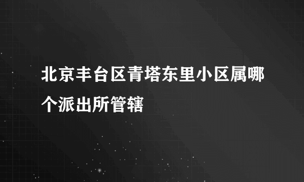 北京丰台区青塔东里小区属哪个派出所管辖