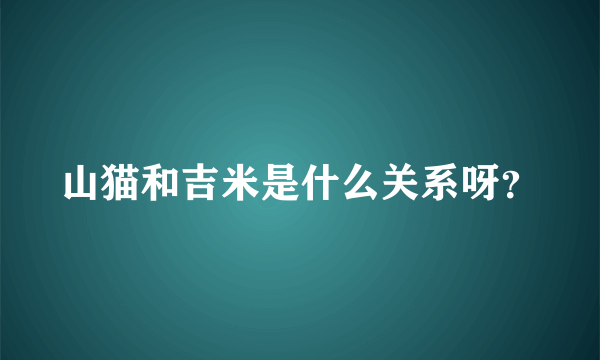 山猫和吉米是什么关系呀？