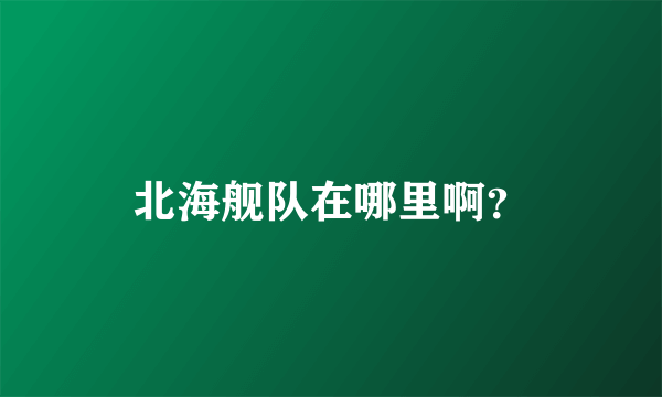 北海舰队在哪里啊？
