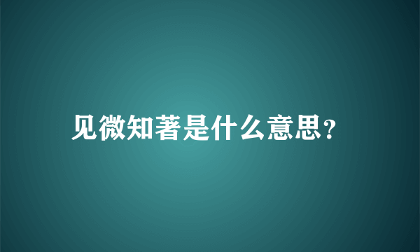 见微知著是什么意思？
